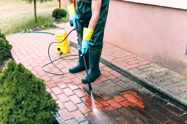 Best Roof Power Washing Services  in Bourg, LA