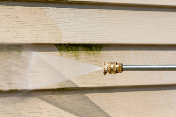 Best Residential Pressure Washing Services  in Bourg, LA