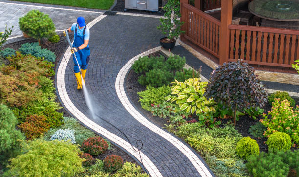 Best Deck Pressure Washing  in Bourg, LA